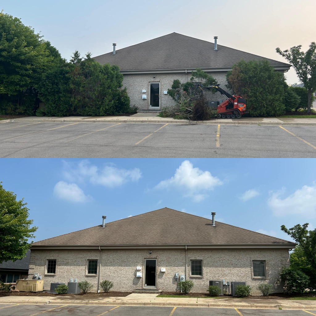 Before and after of overgrown shrub removal at a commercial building